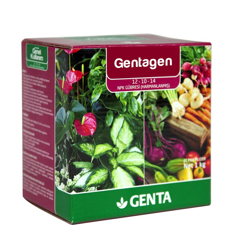 GENTA GENEL BAKIM 