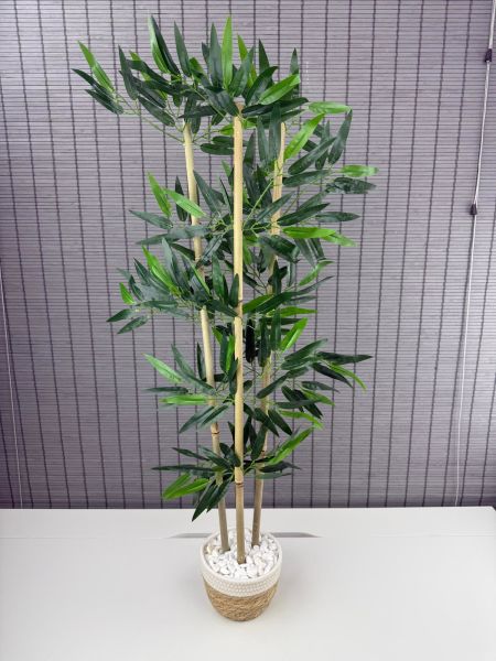 Bahçem Yoğun Yapraklı Dekoratif Bambu Ağacı Hasır Sea Grass/Beyaz Koton Saksılı 3 Gövde 100cm