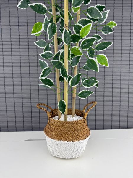 Bahçem Dekoratif Yapay Yapraklı Natural-Beyaz Hasır Bambu Sepetli Dekoratif Benjamin Ağacı 100cm 3 Gövde
