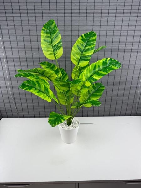 Bahçem Yapay Yapraklı Starliçe Muz Desenli Çizgili Yaprak Beyaz Saksılı 65cm 18 Yaprak