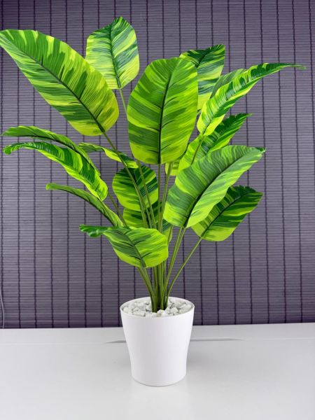 Bahçem Yapay Yapraklı Starliçe Muz Desenli Çizgili Yaprak Beyaz Saksılı 65cm 18 Yaprak