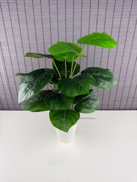 Bahçem Yapay Çiçek Deve Tabanı 18 Yapraklı 65 Cm Salon Çiçeği Beyaz Saksılı Yapay Bitki