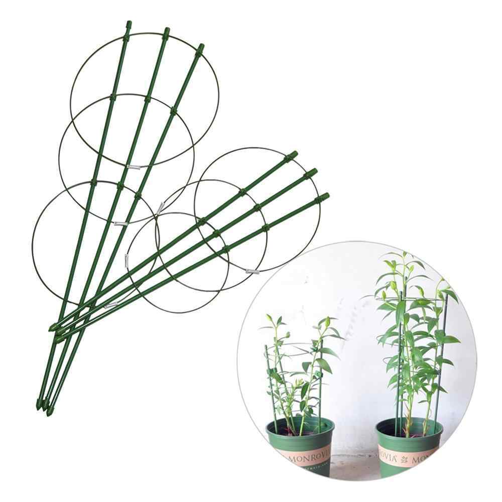 Bahçem Halkalı Bitki Destek Kafesi 90 cm
