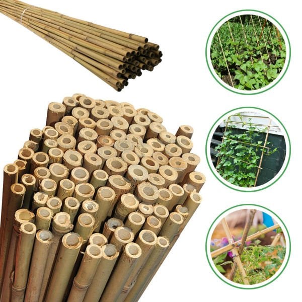 Bahçem 50'Lİ Bambu Bitki Destek Çubuğu 16 mm 180 cm