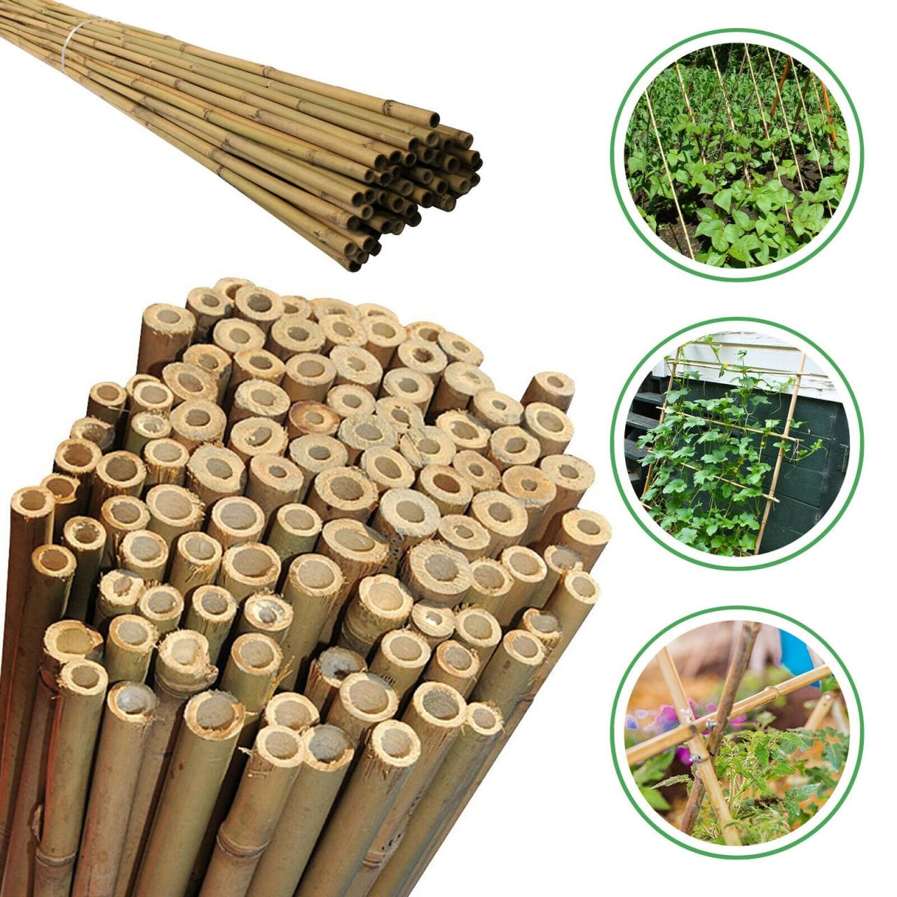 Bahçem 50'Lİ Bambu Bitki Destek Çubuğu 12 mm 150 cm