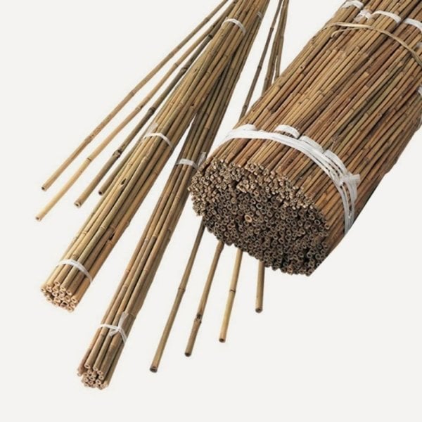 Bahçem 50'Lİ Bambu Bitki Destek Çubuğu 8 mm 90 cm