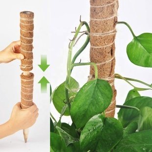 Bahçem Koko Sarmaşık Destek Çubuğu 2 Adet 40cm + 50'Li Bağlama Klipsi