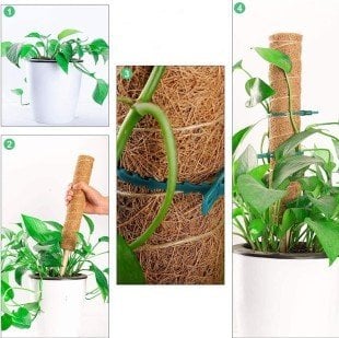 Bahçem Koko Sarmaşık Destek Çubuğu 2 Adet 40cm