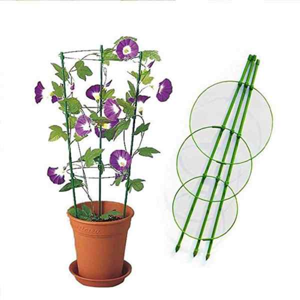 Bahçem Halkalı Bitki Destek Kafesi 120 cm