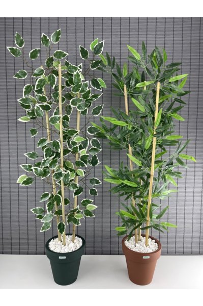 Bahçem Yapay Yoğun Yapraklı Benjamin Ağacı 110cm ve Yapay Bambu Ağacı 110cm Fulya Saksılı 2'li