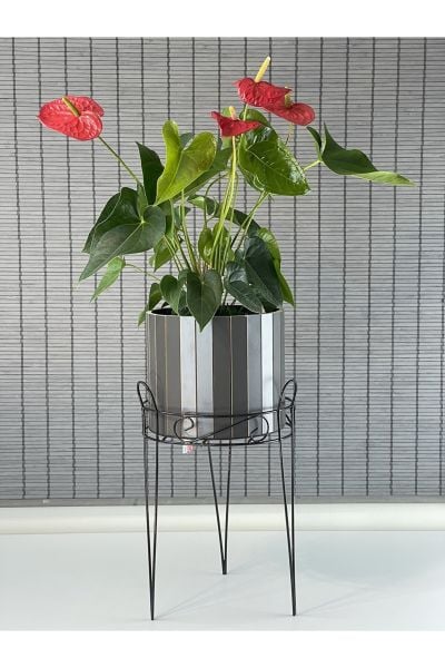 Bahçem Dekoratif Ferforje Ayaklı Ahşap Saksı,Saksı Standı 25,5x50cm