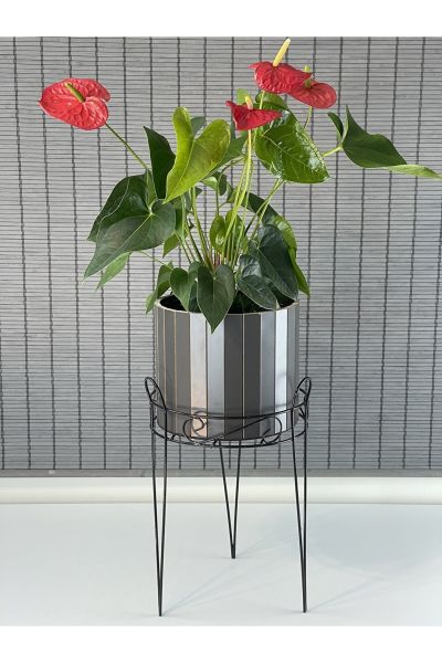 Bahçem Dekoratif Ferforje Ayaklı Ahşap Saksı,Saksı Standı 25,5x50cm