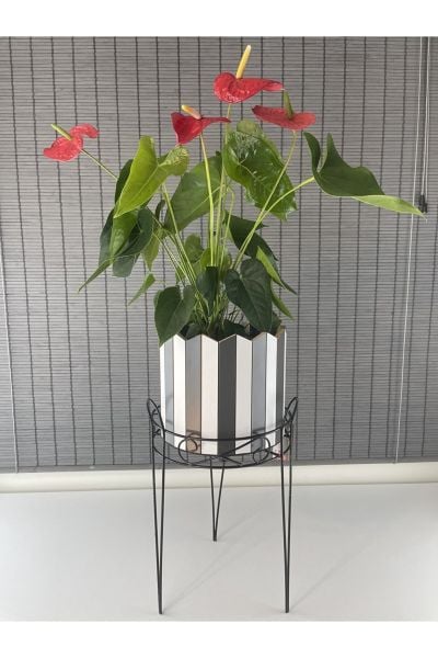Bahçem Dekoratif Ferforje Ayaklı Ahşap Saksı,Saksı Standı 25,5x50cm
