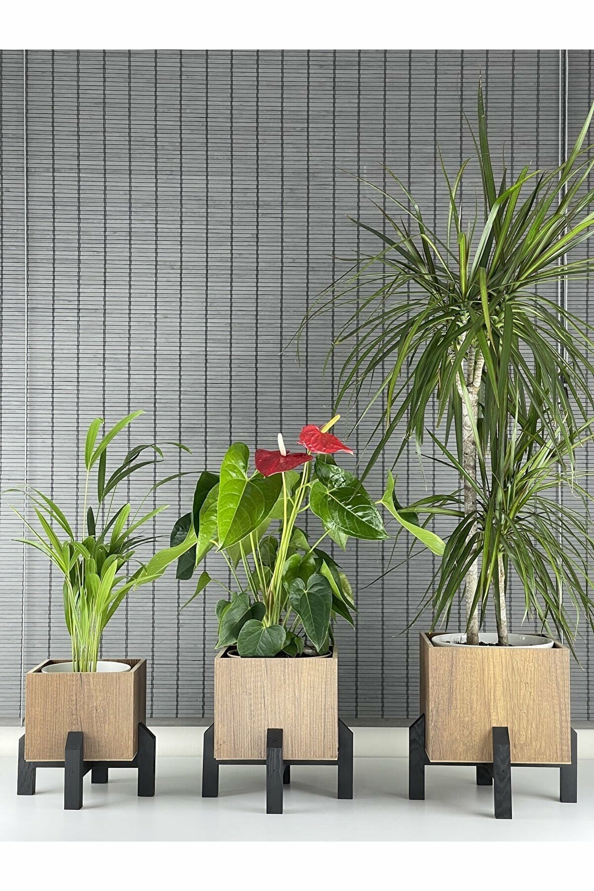 Dekoratif Stand Siyah Ayaklı Kare Model Ahşap Saksı Seti 3'lü İç Saksılı
