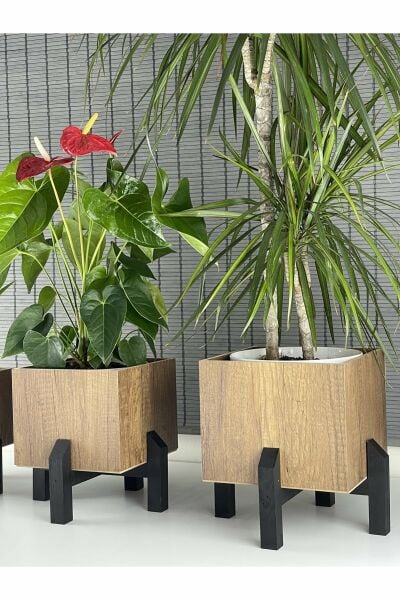 Dekoratif Stand Siyah Ayaklı Kare Model Ahşap Saksı Seti 3'lü İç Saksılı