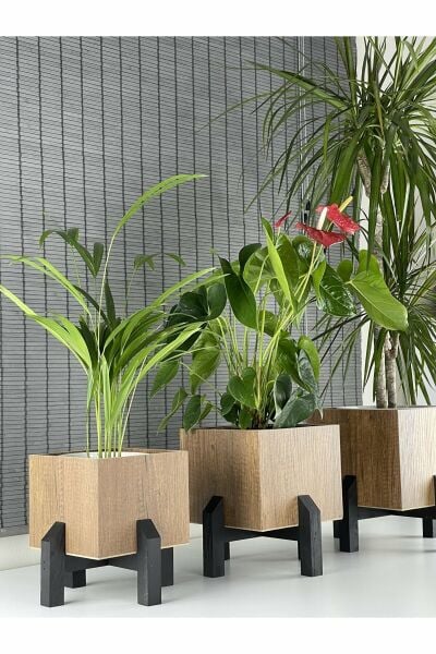 Dekoratif Stand Siyah Ayaklı Kare Model Ahşap Saksı Seti 3'lü İç Saksılı