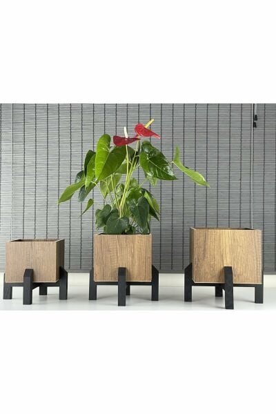 Dekoratif Stand Siyah Ayaklı Kare Model Ahşap Saksı Seti 3'lü İç Saksılı