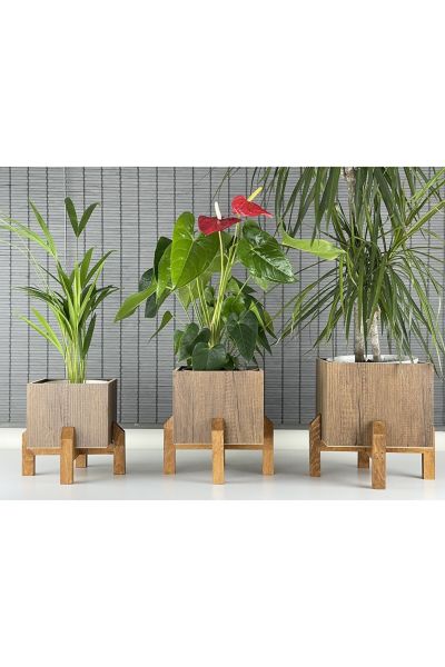 Dekoratif Stand Ahşap Ayaklı Kare Model Ahşap Saksı Seti 3'lü İç Saksılı