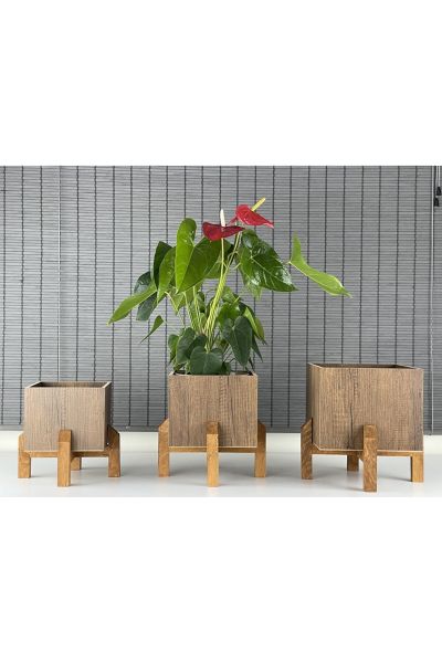 Dekoratif Stand Ahşap Ayaklı Kare Model Ahşap Saksı Seti 3'lü İç Saksılı