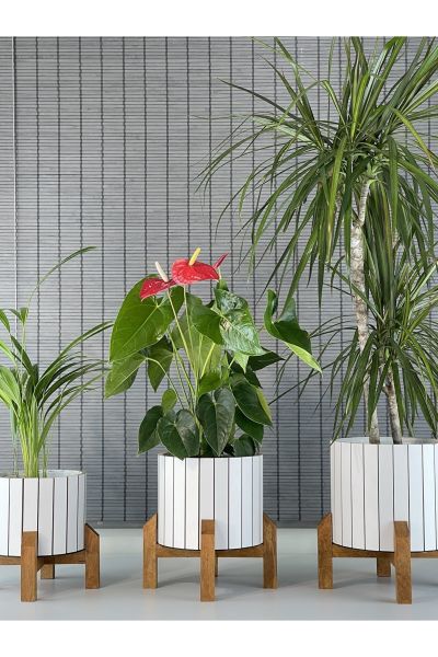 Dekoratif Stand Ahşap Ayaklı Model Yuvarlak Ahşap Saksı Seti 3'lü İç Saksılı