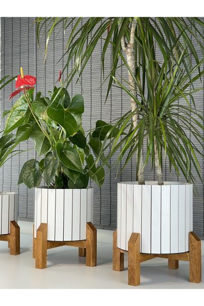 Dekoratif Stand Ahşap Ayaklı Model Yuvarlak Ahşap Saksı Seti 3'lü İç Saksılı