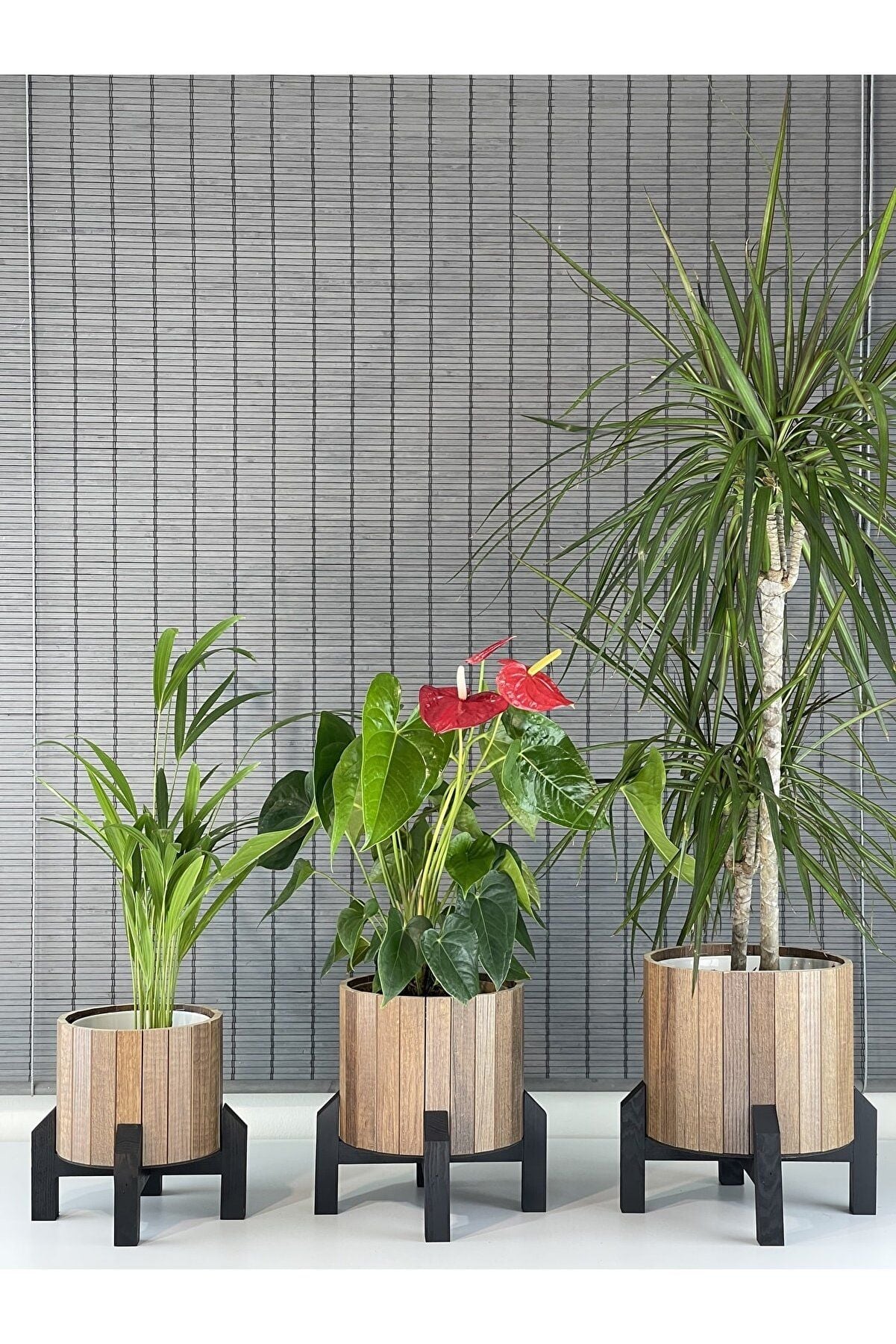 Dekoratif Stand Siyah Ayaklı Model Yuvarlak Ahşap Saksı Seti 3'lü İç Saksılı