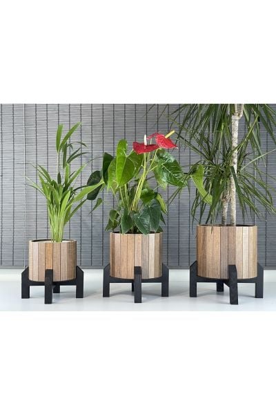 Dekoratif Stand Siyah Ayaklı Model Yuvarlak Ahşap Saksı Seti 3'lü İç Saksılı