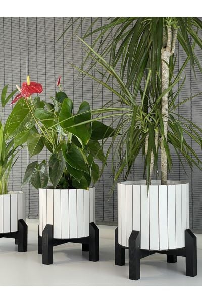 Dekoratif Stand Siyah Ayaklı Model Yuvarlak Ahşap Saksı Seti 3'lü İç Saksılı