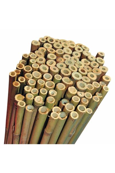 Bambu 50'li Bitki Destek Çubuğu 120cm